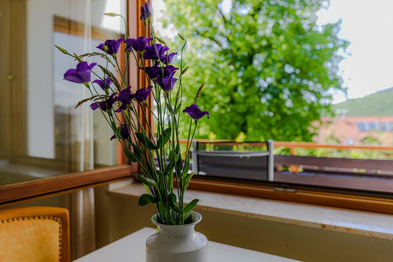Park Appartements Badenweiler Zewnętrze zdjęcie